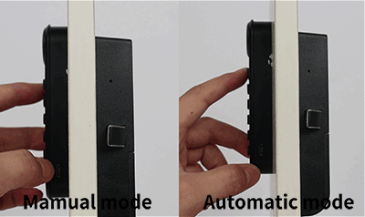 F020 Fingerprint and Keypad Multi-Access Cabinet Lock Two models