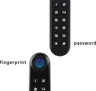 F021 Fingerprint and Keypad Multi-Access Cabinet Lock Convenience