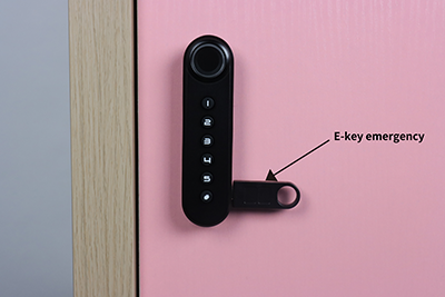 F021 Fingerprint and Keypad Multi-Access Cabinet Lock E-key emergency unlock