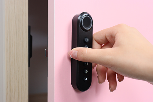 F021 Fingerprint and Keypad Multi-Access Cabinet Lock Handle design