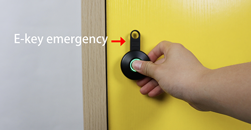 F022 Handle Fingerprint Cabinet Lock E-key emergency unlock