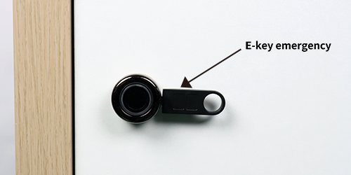 F033 Handle Fingerprint Cabinet Lock E-key emergency unlock