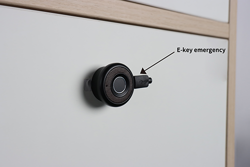 F045 Handle Fingerprint Cabinet Lock Little E-key