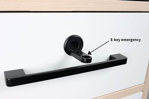 F050 Flush-Mount Fingerprint Cabinet Lock E-key Emergency unlock