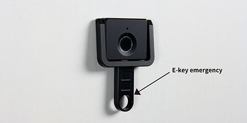 F053 Handle Fingerprint Cabinet Lock Unlock by E-key