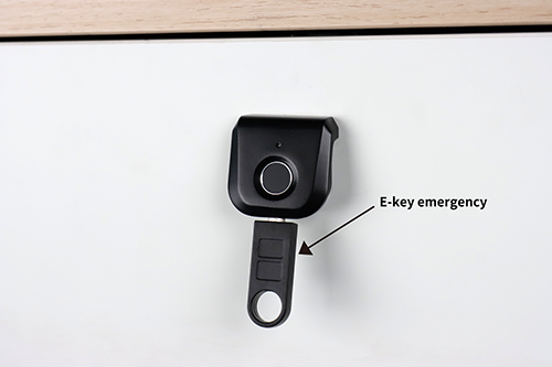 F112 Handle Fingerprint Cabinet Lock E-key Emergency unlock