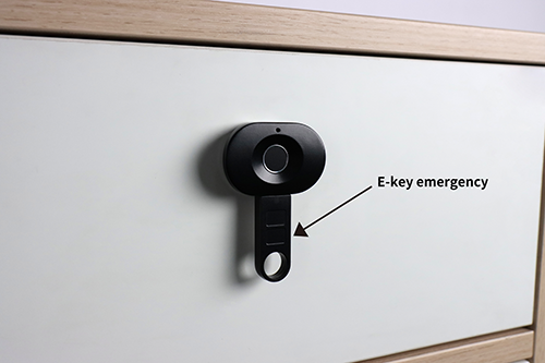 F113 Handle Fingerprint Cabinet Lock E-key Emergency unlock