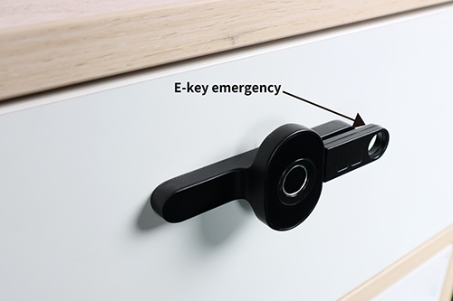F118 Handle Fingerprint Cabinet Lock E-key emergency unlock