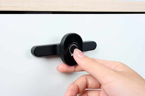 F118 Handle Fingerprint Cabinet Lock Handle design