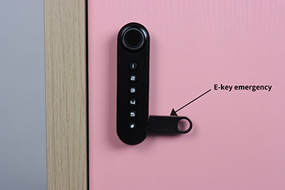 Cabinet Lock F021 E-key management function