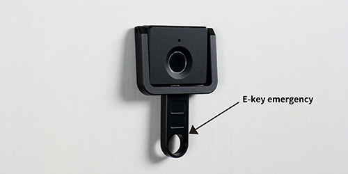 Drawer Lock (Cabinet Lock) F053 Unlock by E-key