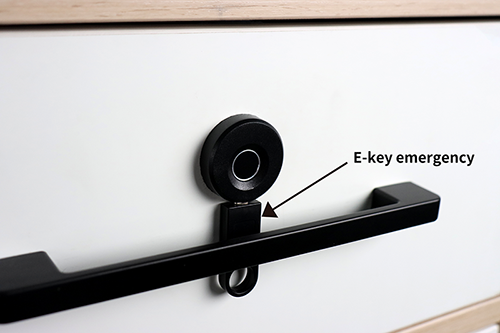 Drawer Lock (Cabinet Lock) F109 E-key unlock