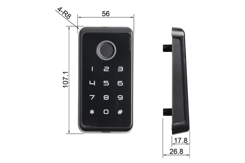 Cabinet Lock F198